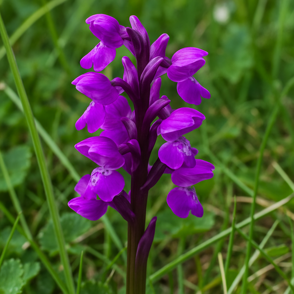 Wilwell Farm Nature Reserve - Main photo